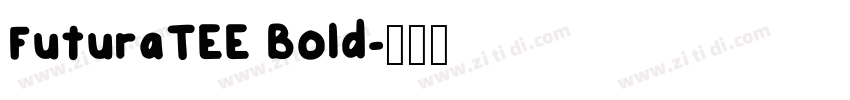 FuturaTEE Bold字体转换